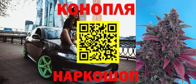 крисы Заводоуковск