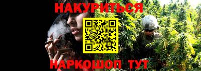 крисы Заводоуковск